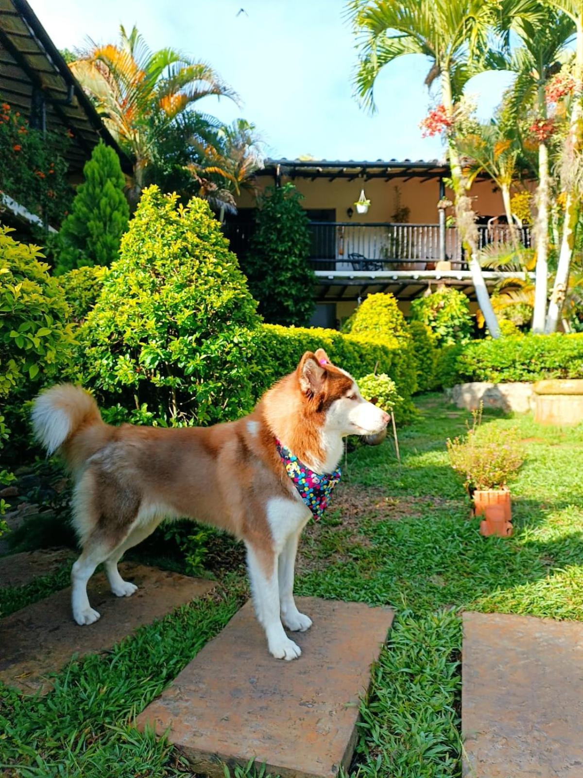 Hotel Campestre Casona Del Camino Real ซานกิล ภายนอก รูปภาพ